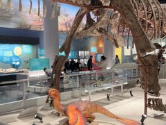 -国家自然博物馆