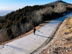 -北京西山国家森林公园