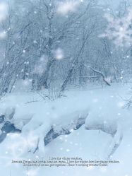 -大秃顶子山(雪谷店)