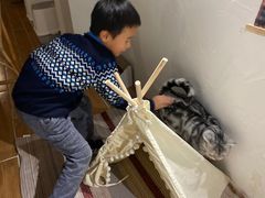 -猫友咖啡店(玉林西路店)