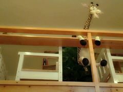 -长颈鹿咖啡(大学路店)