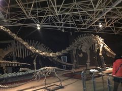 -世界恐龙谷景区