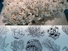 -中国湿地博物馆
