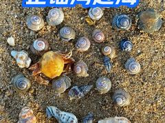 -东戴河风景区-止锚湾