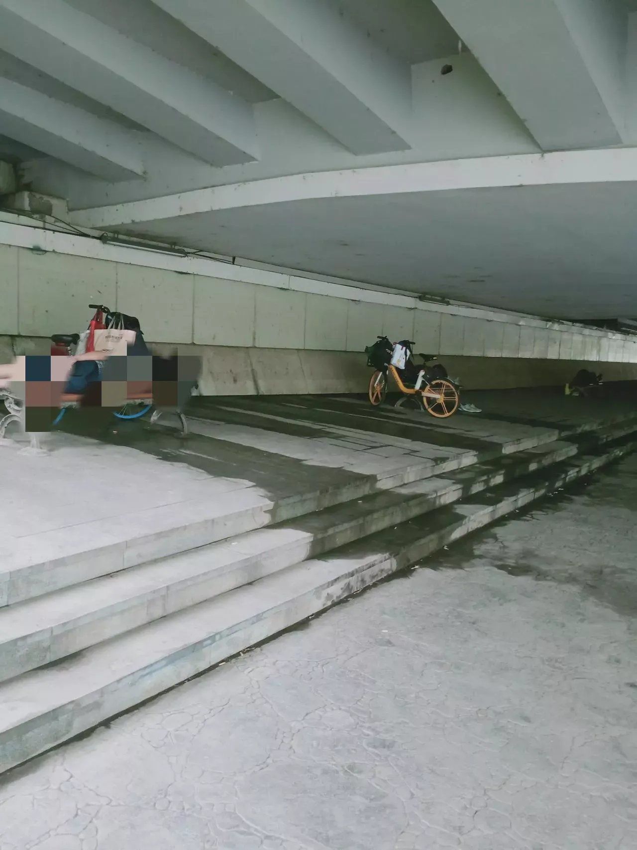 桥洞下的年轻人