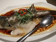 清蒸鲈鱼-至潮餐厅精致粤菜·活鲈鱼·走地鸡(珠江新城店)