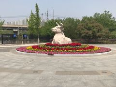 -永定河休闲森林公园