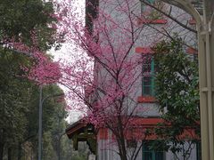 -四川大学(华西校区)