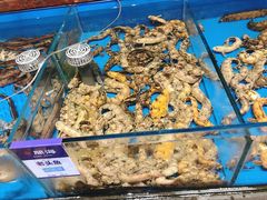 -开海·红岛海鲜虾水饺(石老人店)