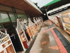 -名驭国际马术学院