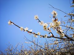 -广州市流溪河国家森林公园