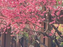 -木塔寺遗址生态公园