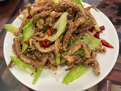 干煸鱿鱼须-鑫来子菜馆