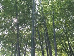-径山寺