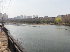 -前关湿地公园