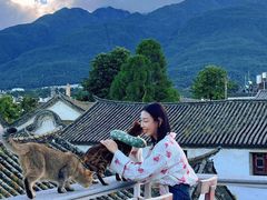 景观位-喵屿·大理花园猫咖