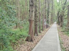 -同里国家湿地公园