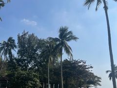 -元素中餐厅.海南菜.粤菜.椰子鸡.海鲜.包房.石梅湾威斯汀度假酒店