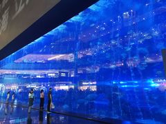 -成都浩海立方海洋公园