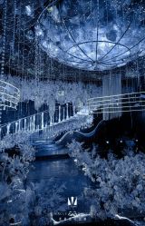 点击看大图 -美诺婚礼策划·求婚策划