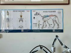 -派美特宠物医院·核磁CT·骨科肿瘤·疑难转诊(沈农禾丰店)
