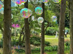 -人民公园(罗湖区)