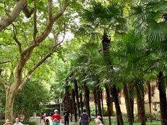 -徐家汇源景区-衡山公园