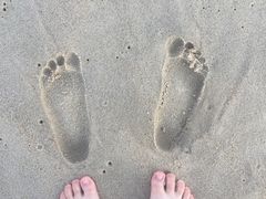 -玫瑰海岸文化旅游度假区