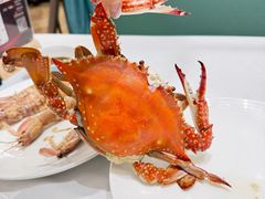 -北塘海鲜·天津菜(大光明桥旗舰店)