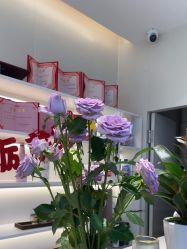 -吉艺心专业美发造型