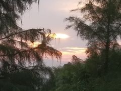 -聚龙山公园