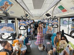 -帕帕拉兹宠物(亚洲旗舰店)