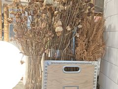 -野草莓自由市场