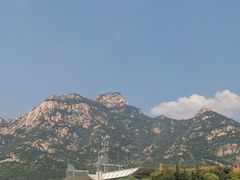 -万达广场(泰安泰山店)