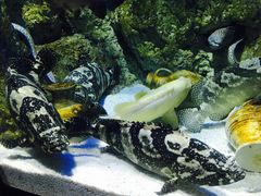 -福州罗源湾海洋世界旅游区