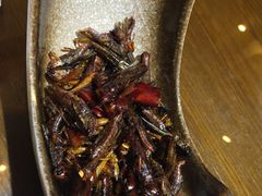 -福照楼汽锅鸡·云南菜(护国路店)