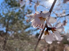 -滨河世纪广场公园