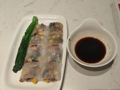 -南枝记