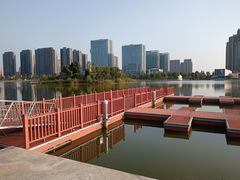 -金沙湖公园
