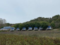 -紫海香堤香草艺术庄园