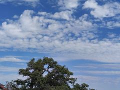 -西昌邛海宾馆