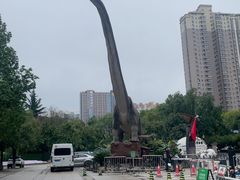 -陕西自然博物馆