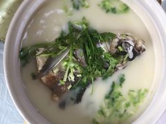 -天乐农家鱼头王(天目湖店)