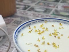 -周大娘牛乳(旧寨古村总店)