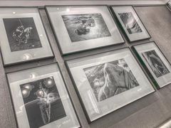 -PAUL LAFAYET 法式甜品(港汇广场店)