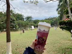 -喜茶(东莞雍华庭店)