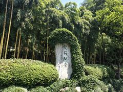 -十八棵（老龙井）御茶园(老龙井店)