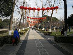 -荆川公园
