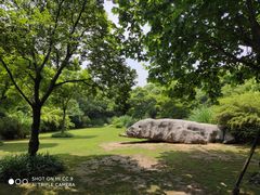 -上海吴淞炮台湾国家湿地公园