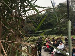 -成都市活水公园